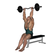 Triceps Extension - Seated EZ Bar Narrow